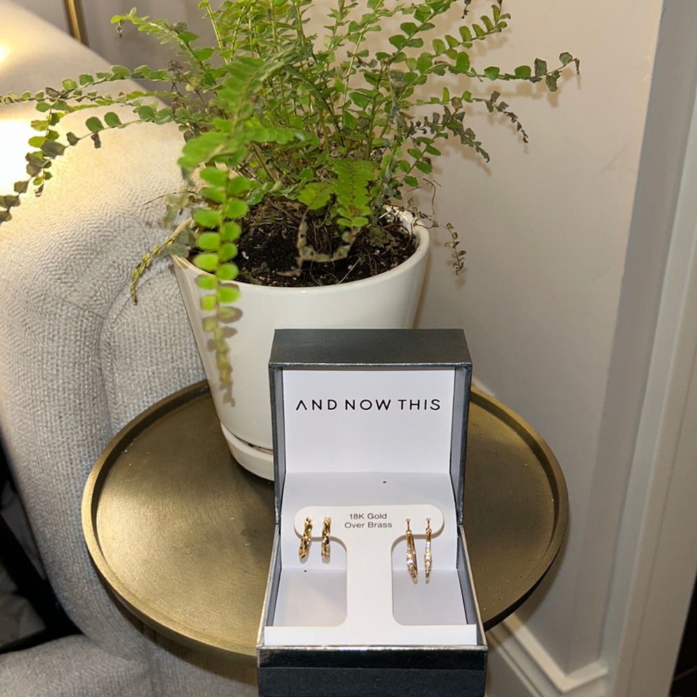 18k gold hoops